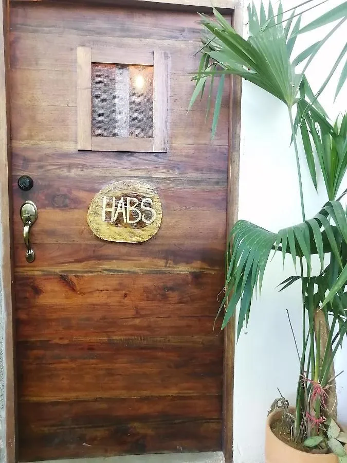 Auberge de jeunesse Pistacho à Minca Colombie