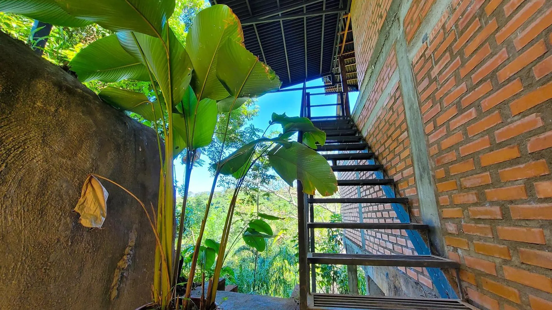 Auberge de jeunesse Pistacho à Minca